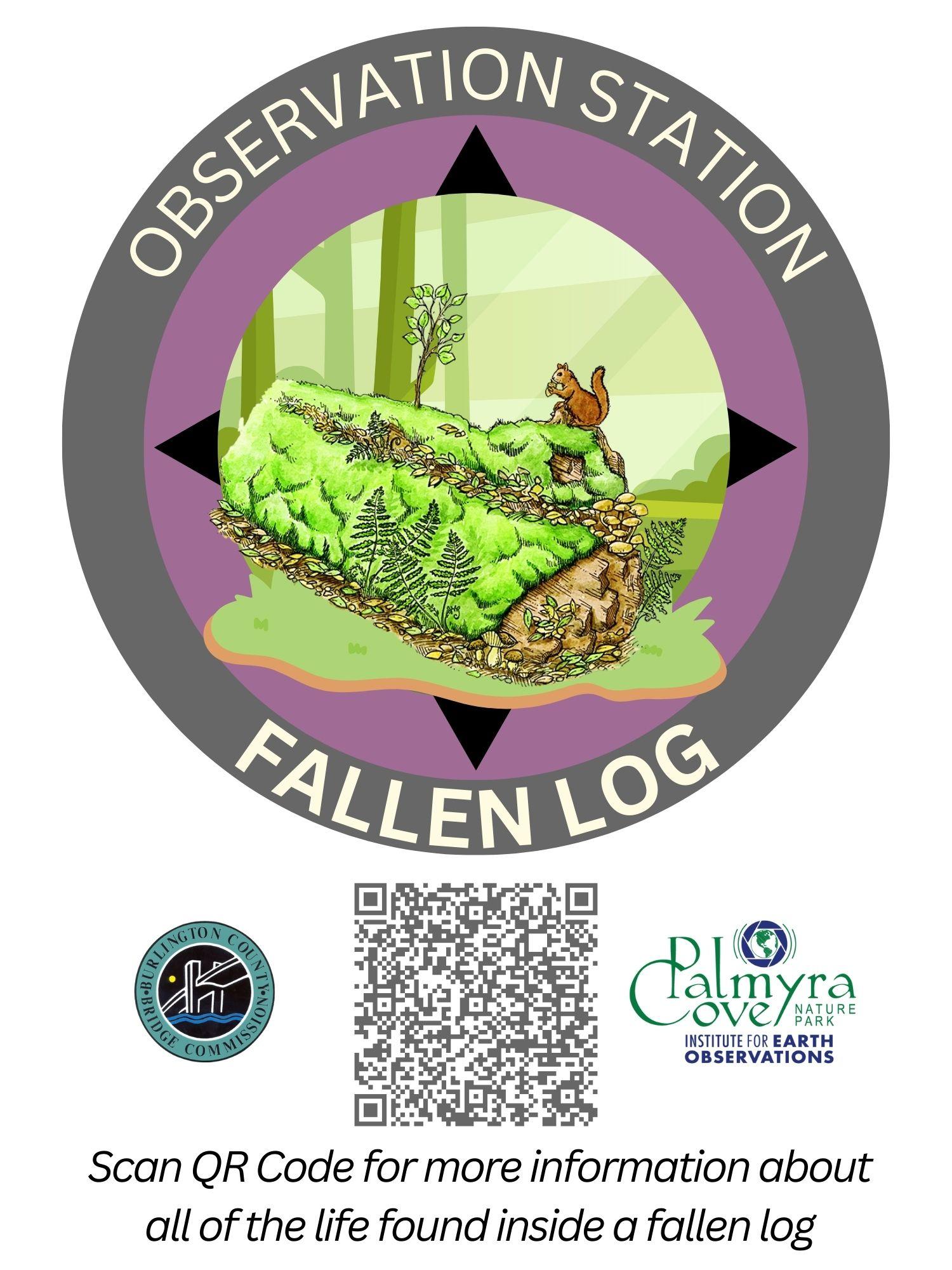 Fallen Log
