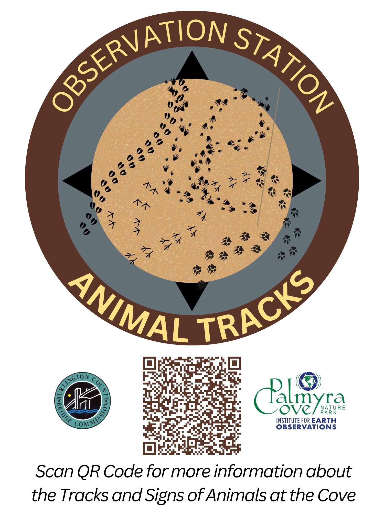 Tracks